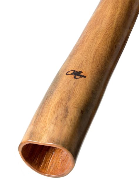 authentic didgeridoo|where to buy a didgeridoo.